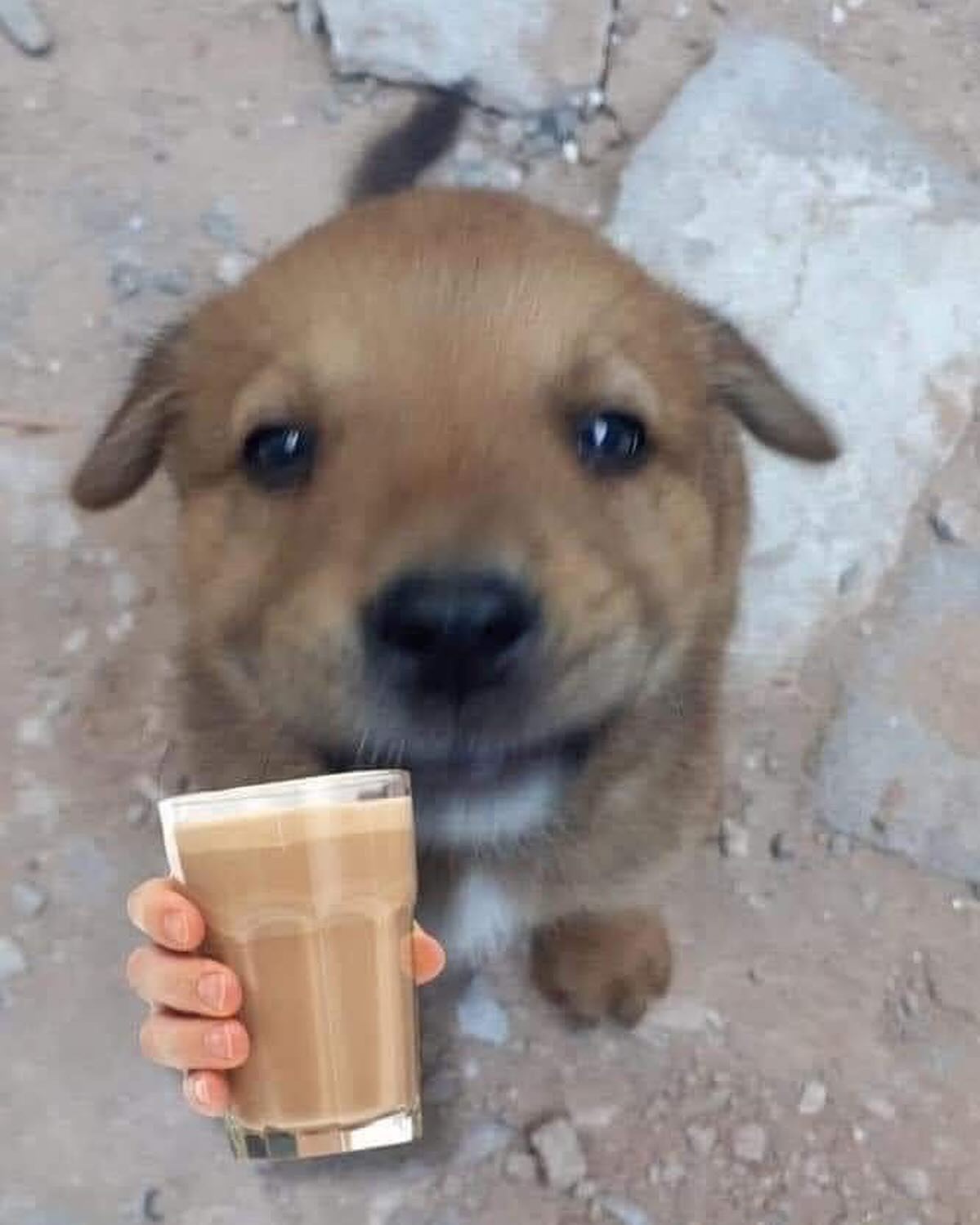 iamm3dusa instagram image archive image