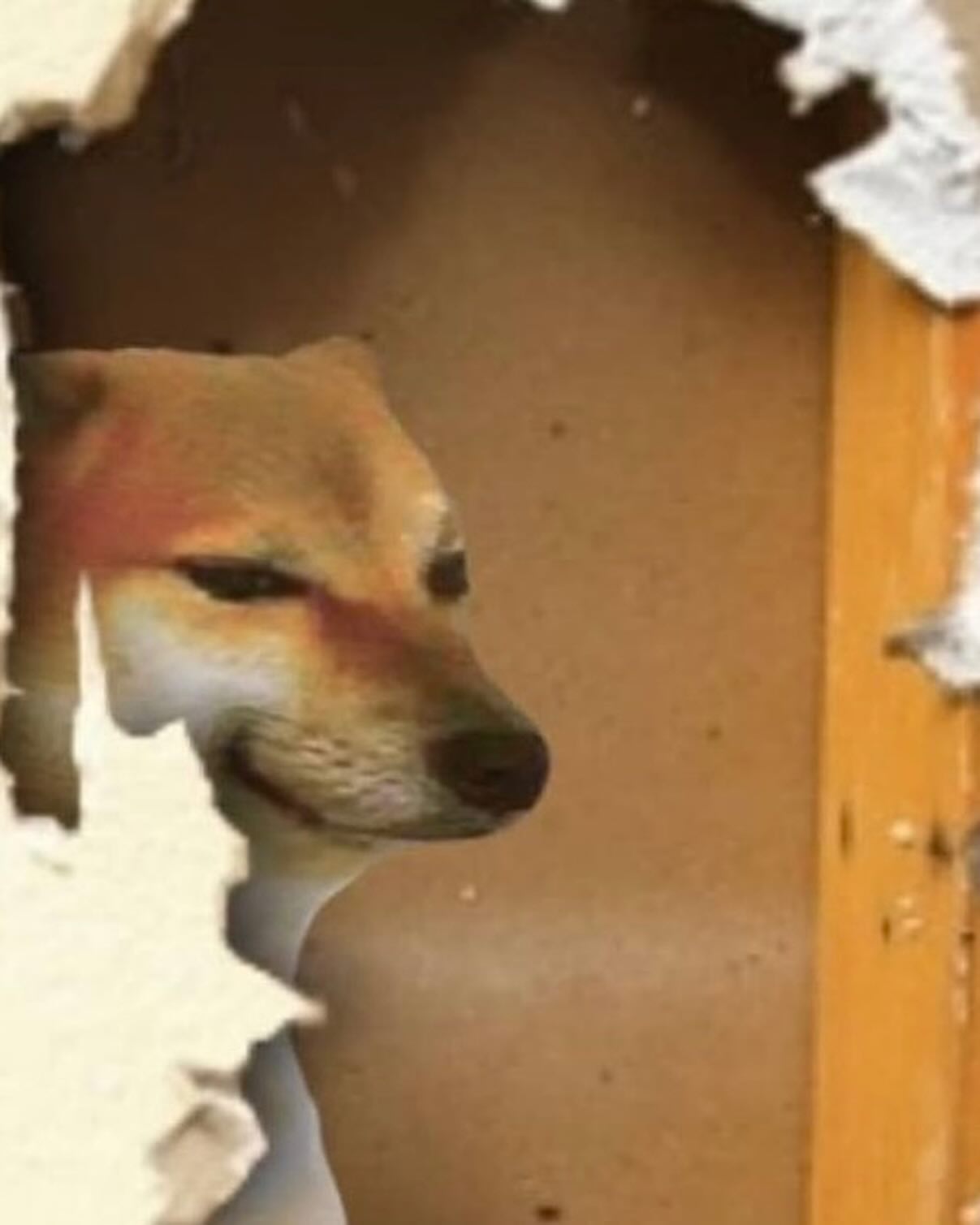 iamm3dusa instagram image archive image