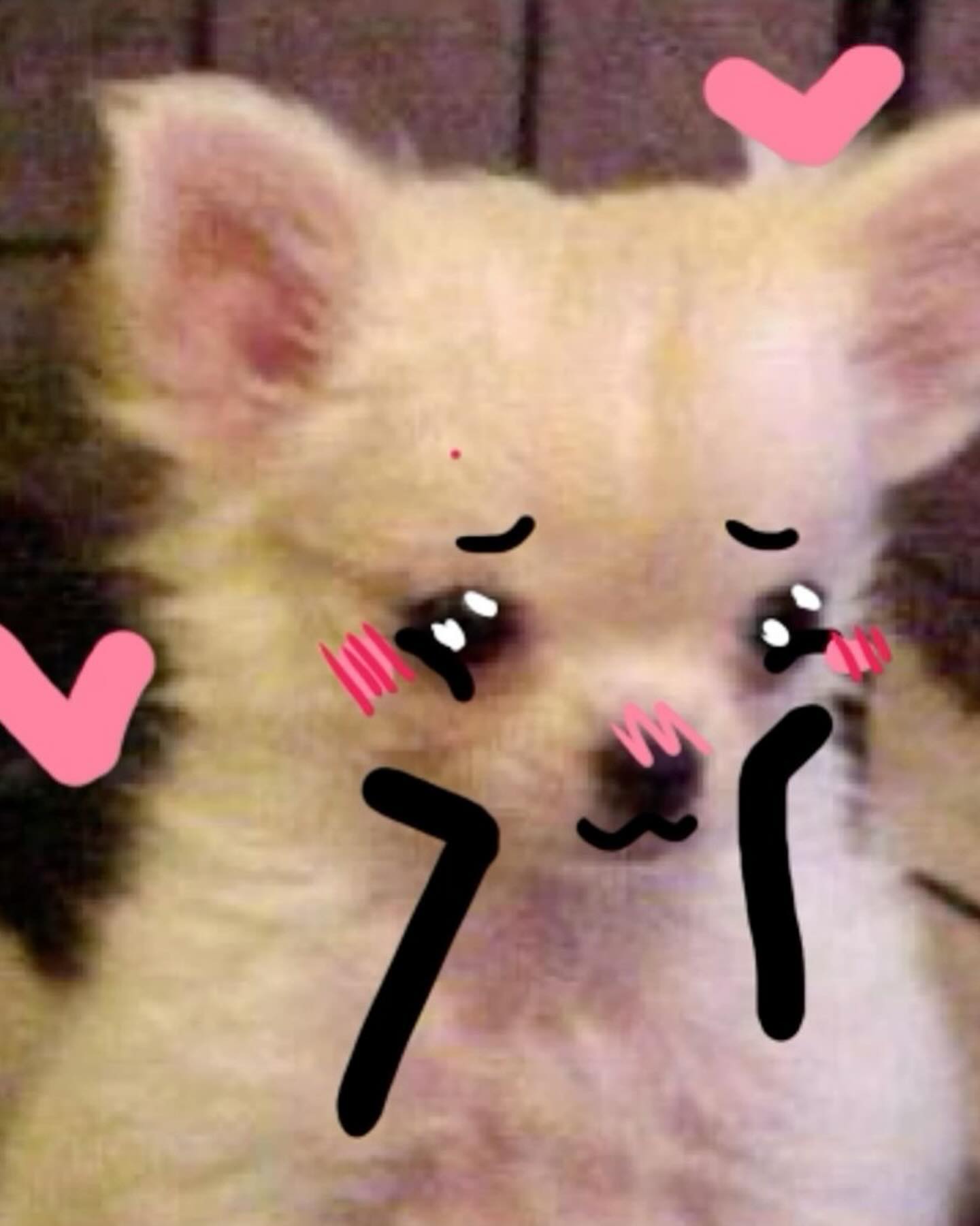 iamm3dusa instagram image archive image