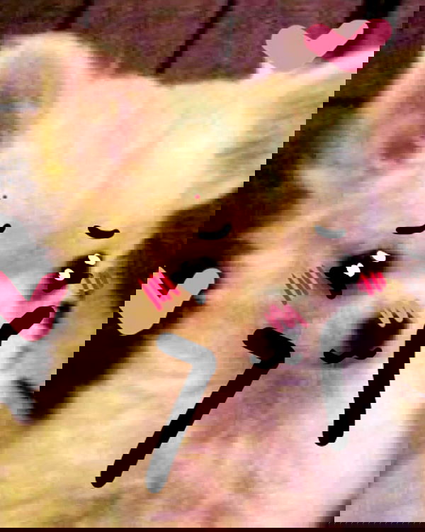 iamm3dusa image ~ Altpins