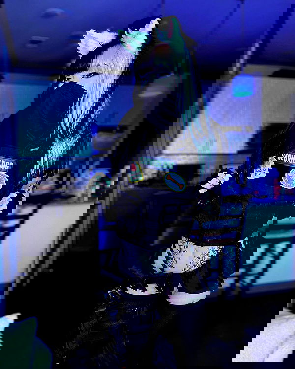 iamm3dusa image ~ Altpins