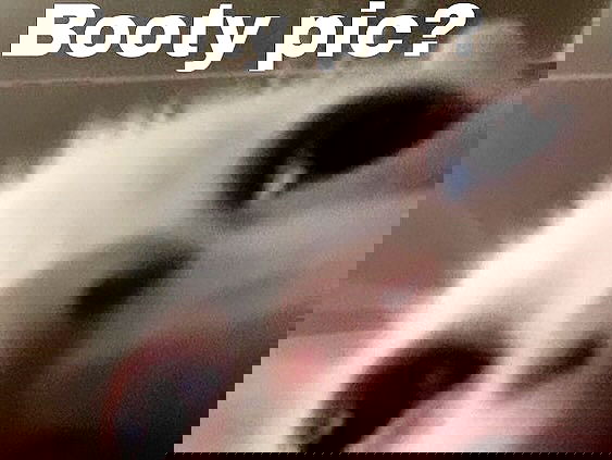 iamm3dusa image ~ Altpins