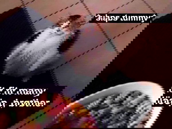 iamm3dusa image ~ Altpins