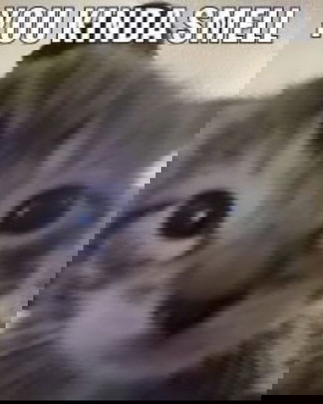 iamm3dusa instagram image archive image