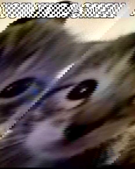 iamm3dusa image ~ Altpins