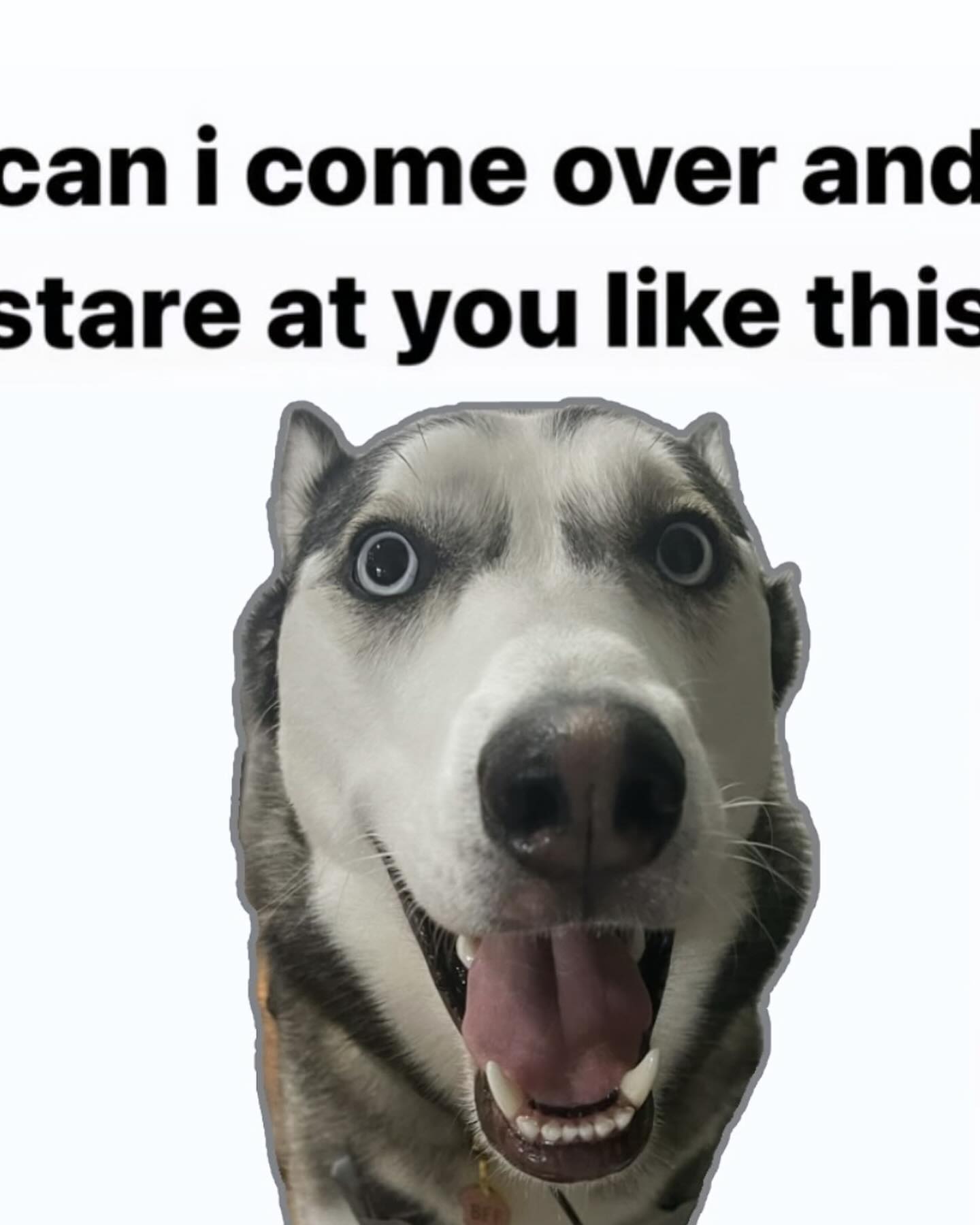 iamm3dusa instagram image archive image