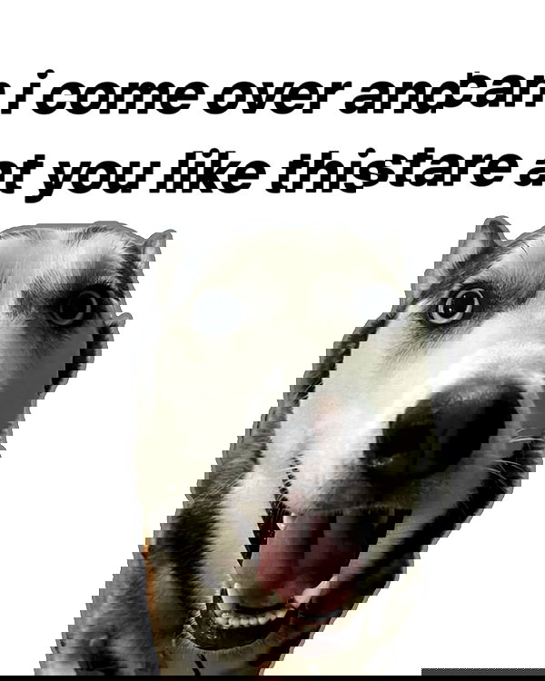 iamm3dusa image ~ Altpins