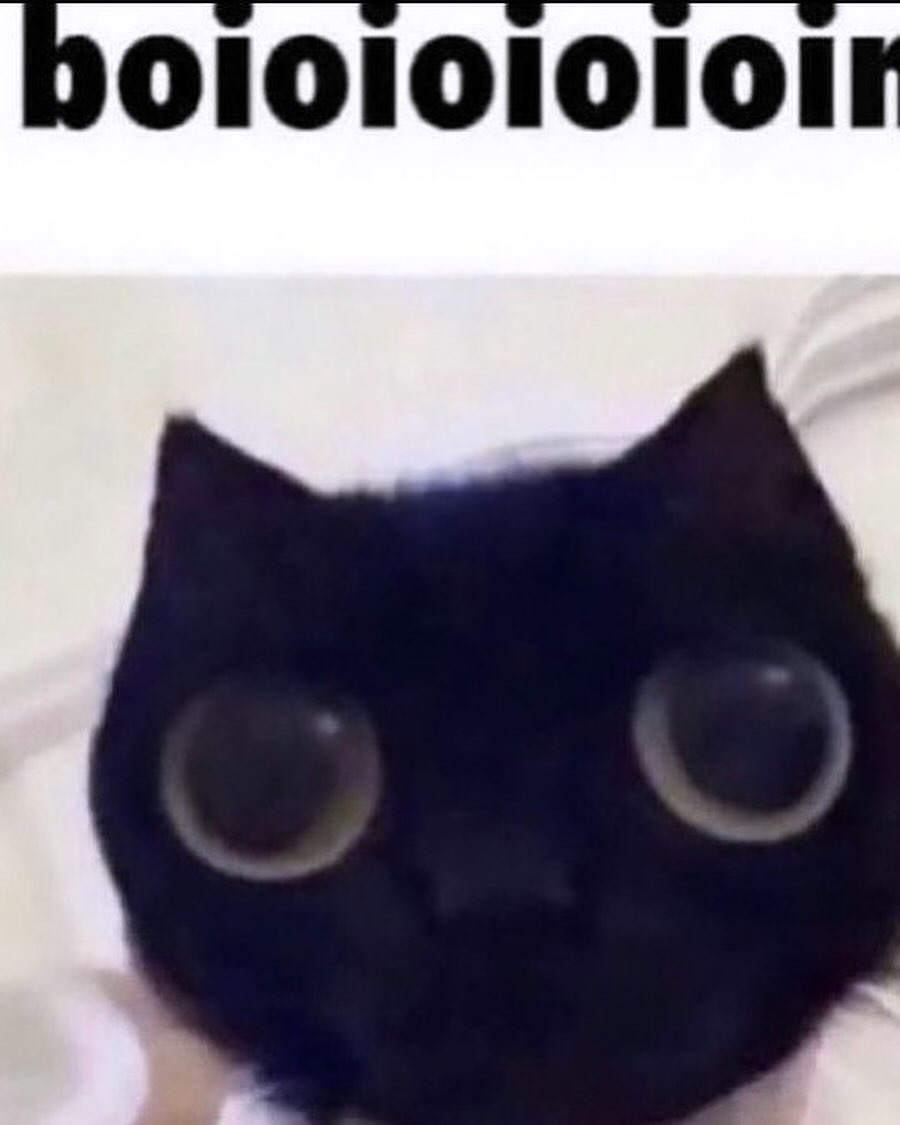 iamm3dusa instagram image archive image