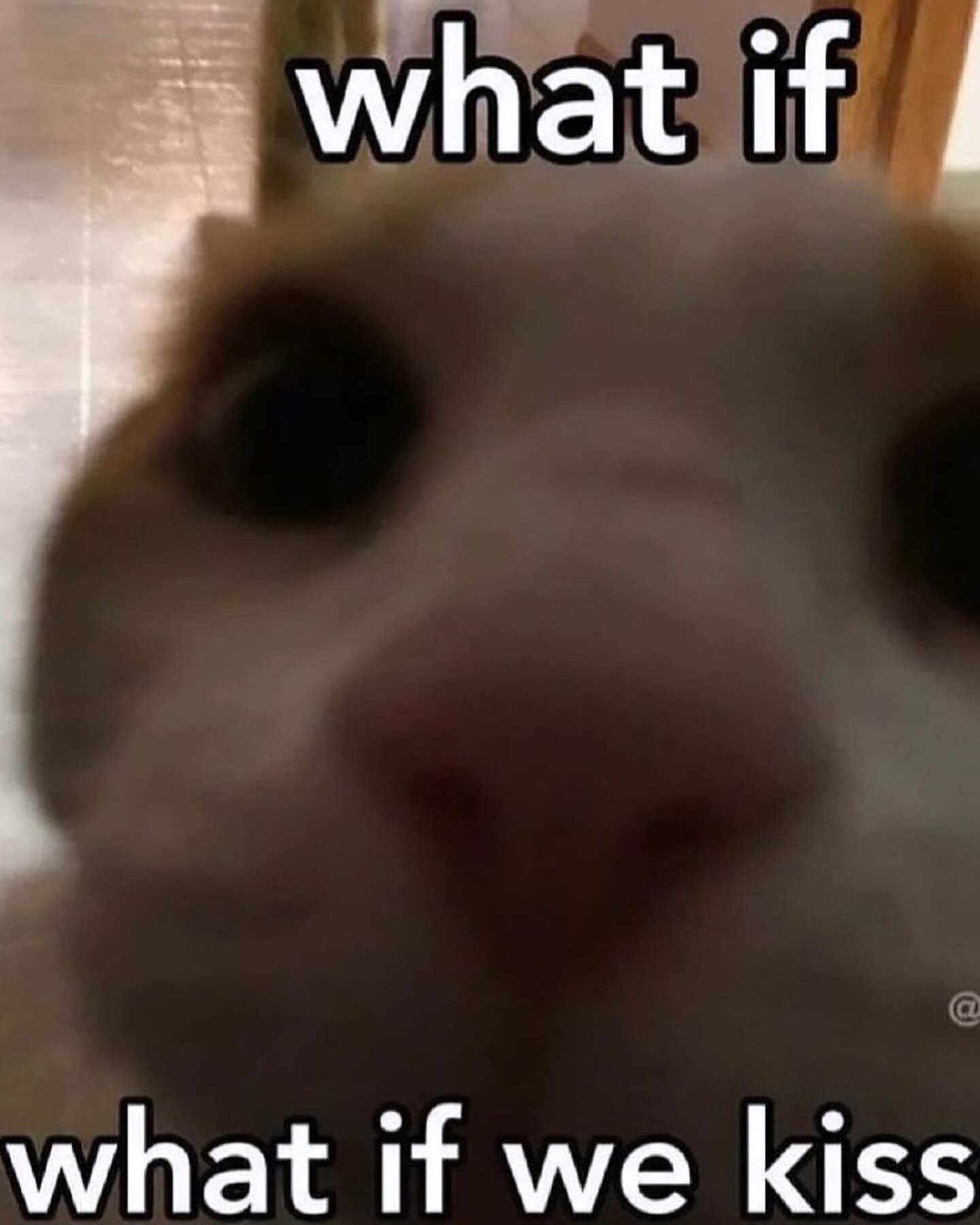 iamm3dusa instagram image archive image