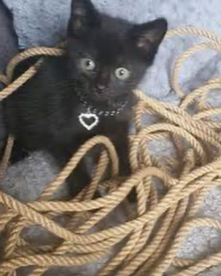 iamm3dusa instagram image archive image