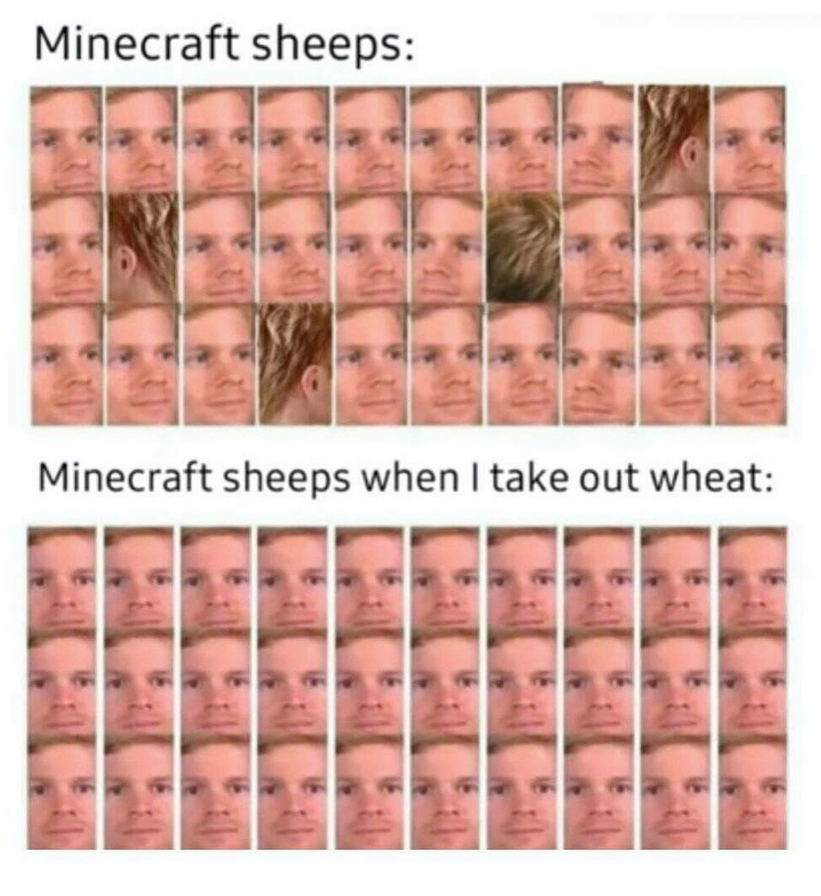 iamm3dusa instagram image archive image