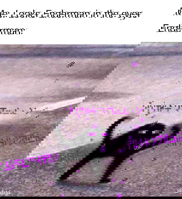 iamm3dusa image ~ Altpins