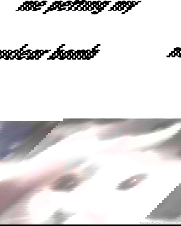 iamm3dusa image ~ Altpins