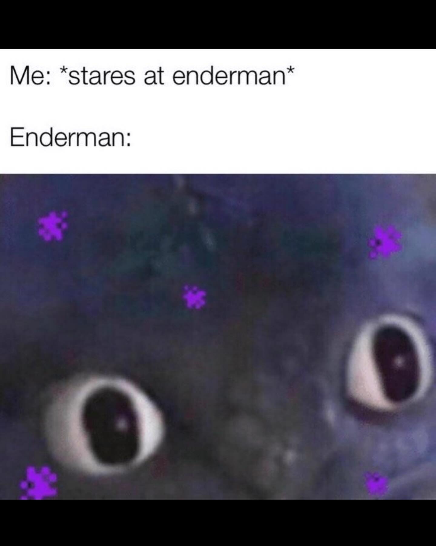 iamm3dusa instagram image archive image