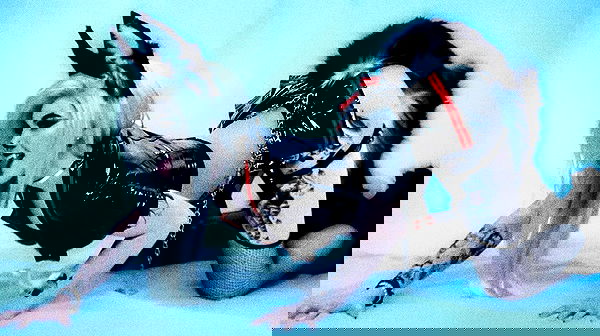 iamm3dusa image ~ Altpins