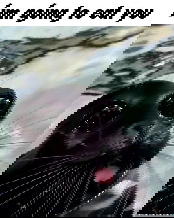 iamm3dusa image ~ Altpins