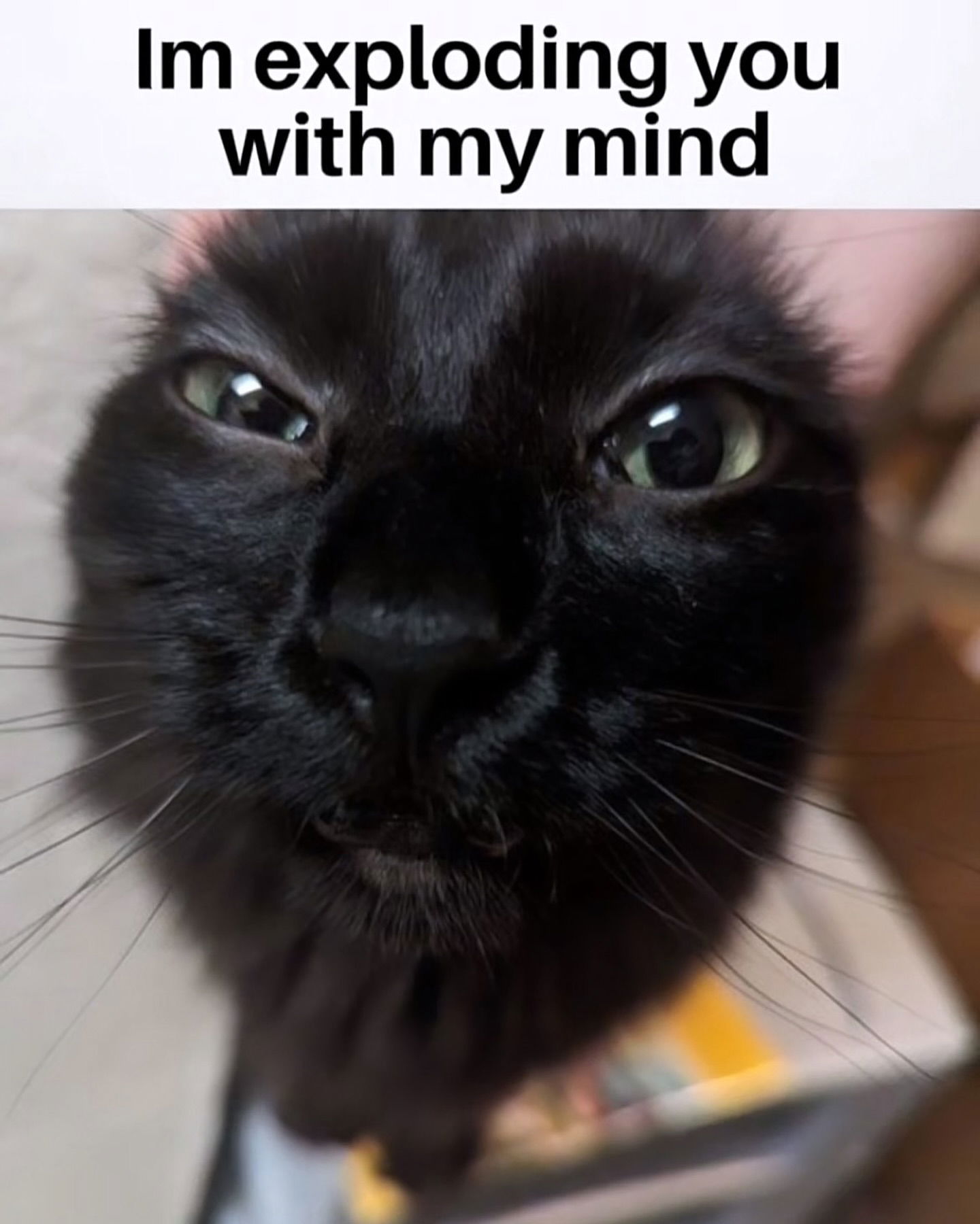 iamm3dusa instagram image archive image