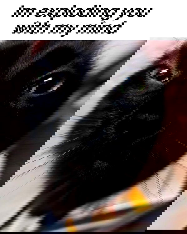 iamm3dusa image ~ Altpins