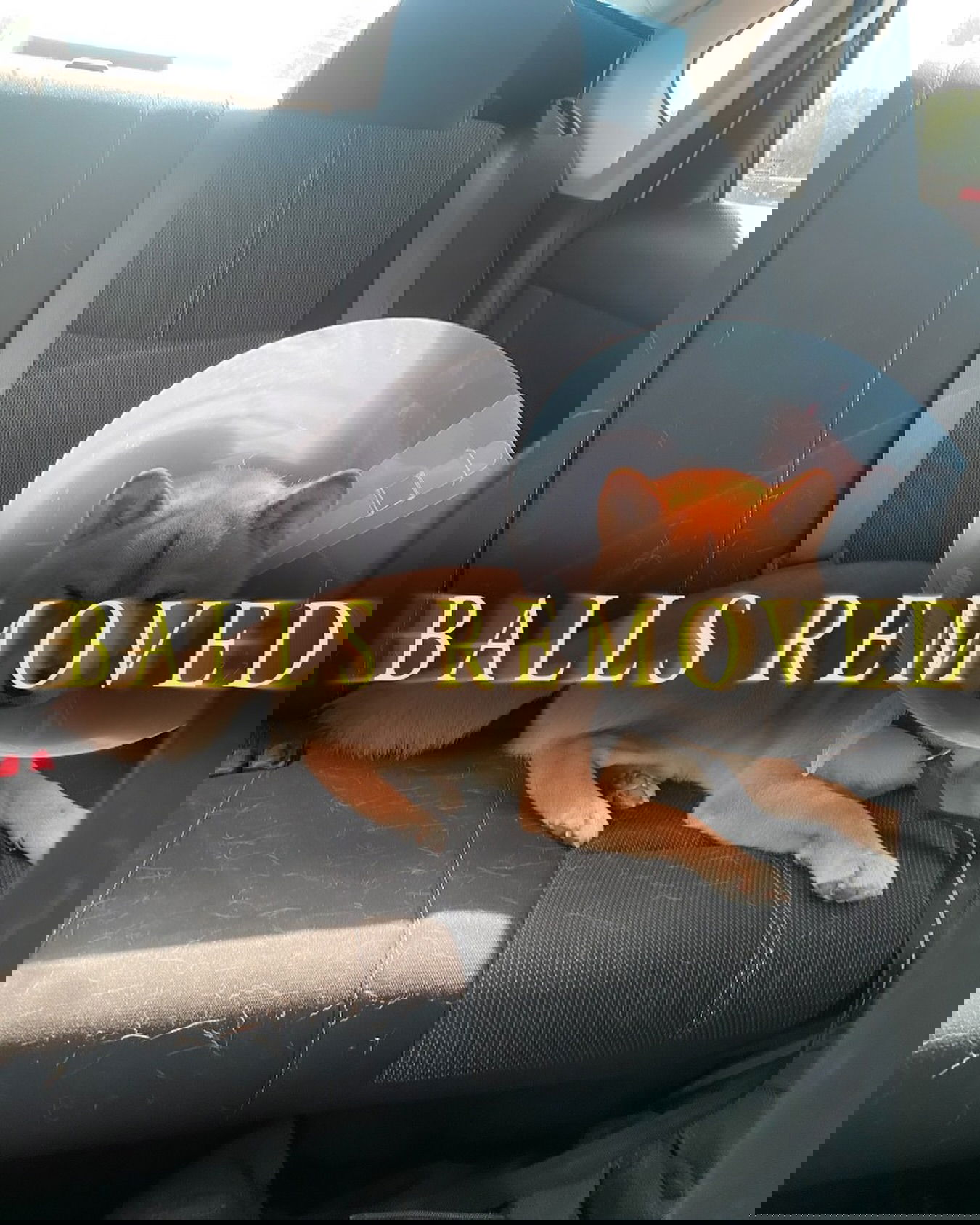 iamm3dusa instagram image archive image