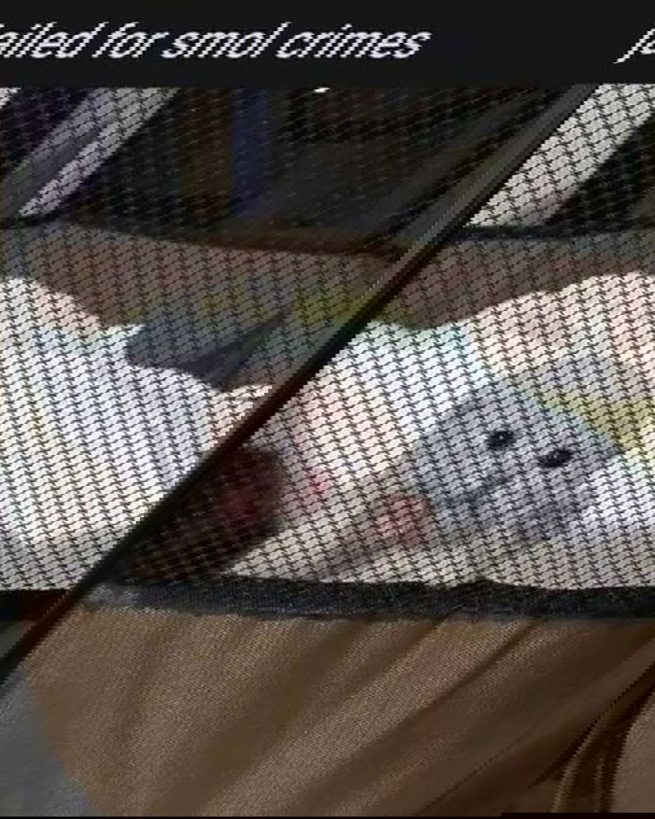 iamm3dusa instagram image archive image