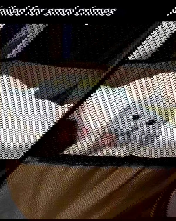 iamm3dusa image ~ Altpins