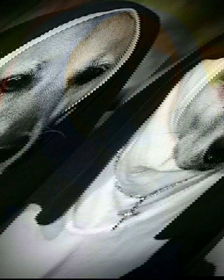 iamm3dusa instagram image archive image