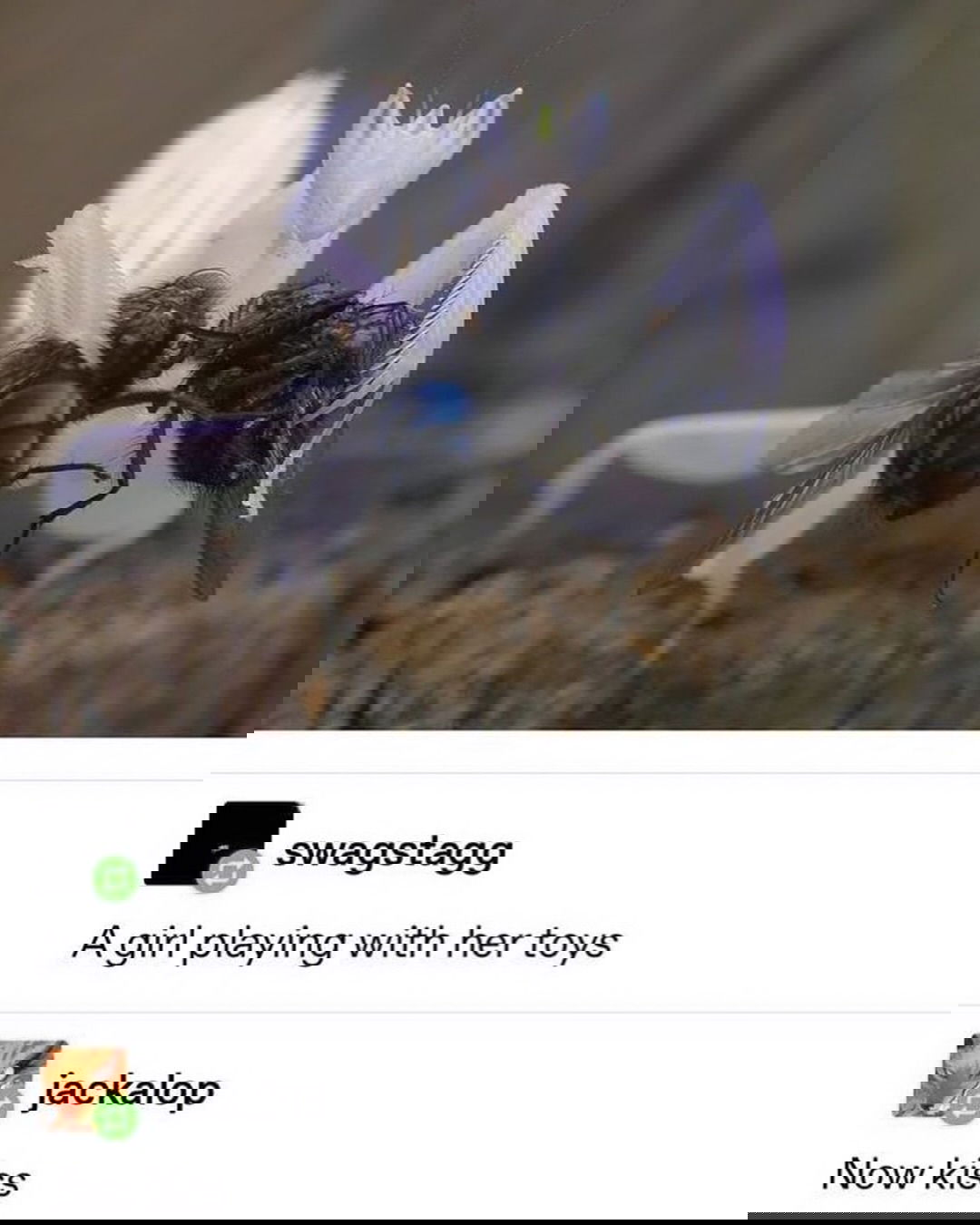 iamm3dusa instagram image archive image