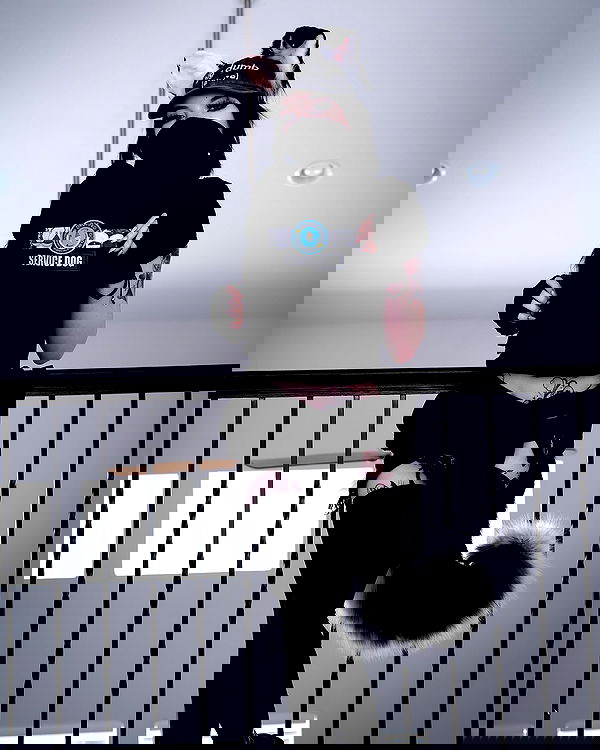 iamm3dusa image ~ Altpins