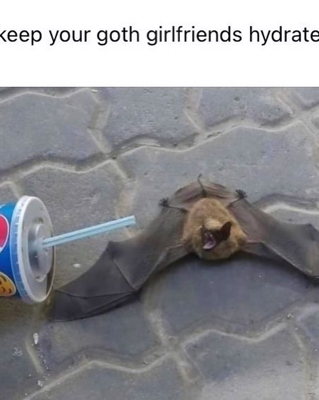 iamm3dusa instagram image archive image