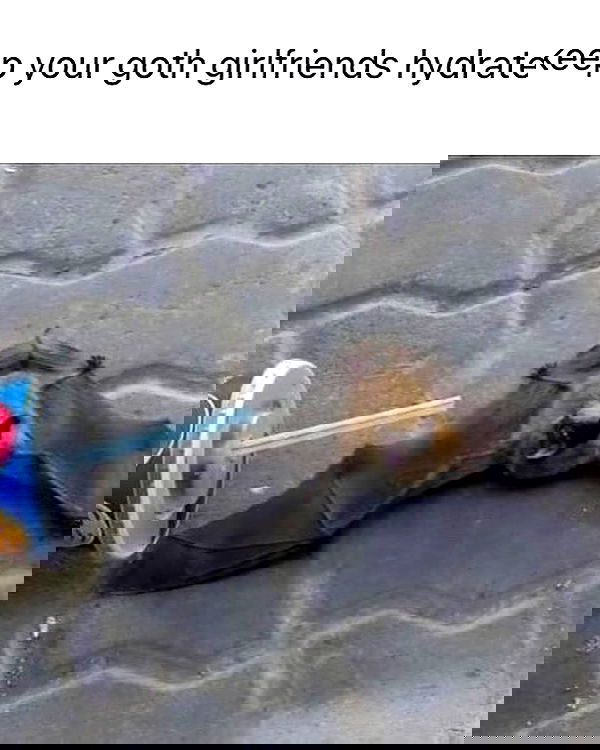 iamm3dusa image ~ Altpins