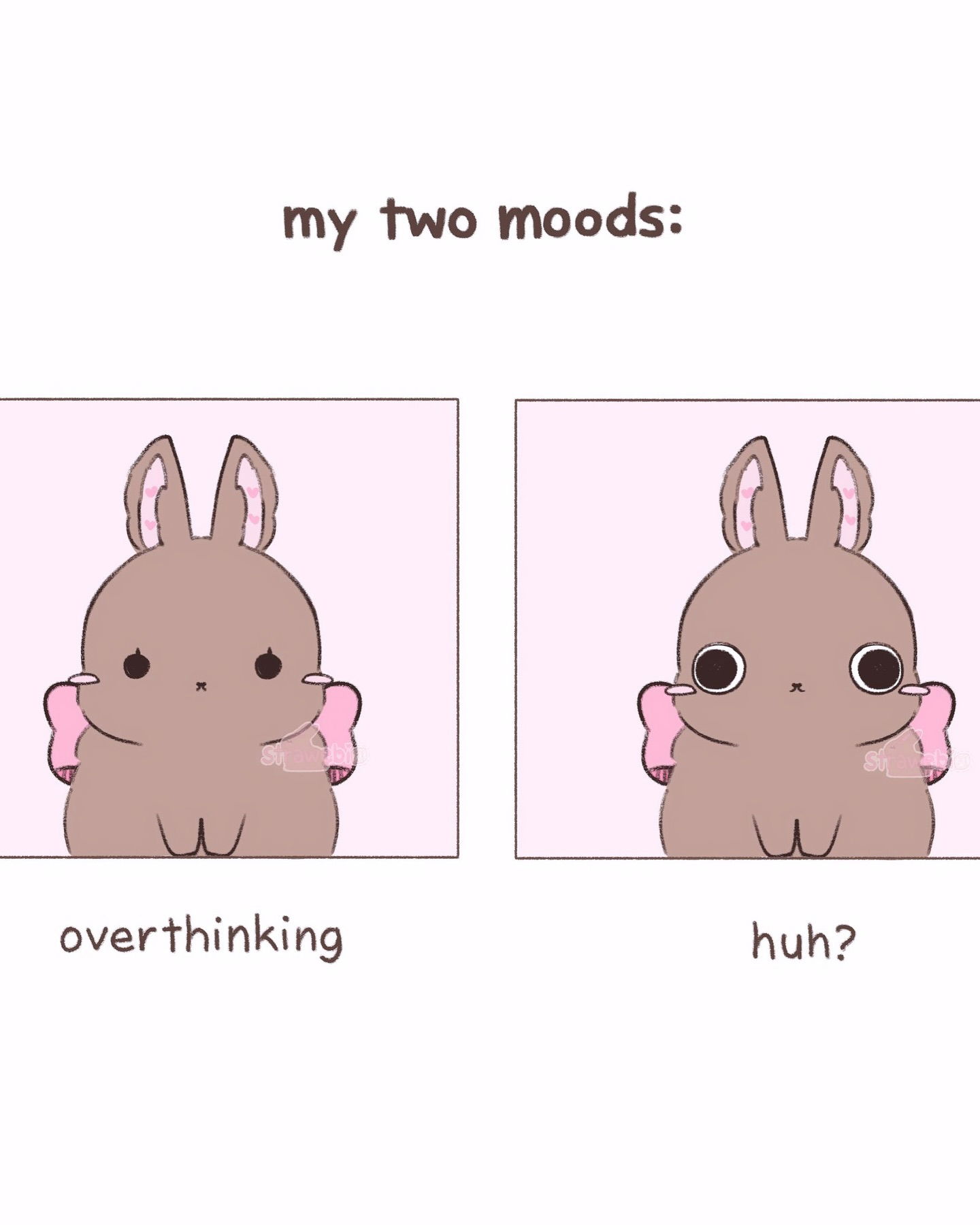 iamm3dusa instagram image archive image