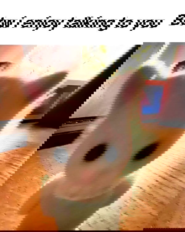 iamm3dusa image ~ Altpins