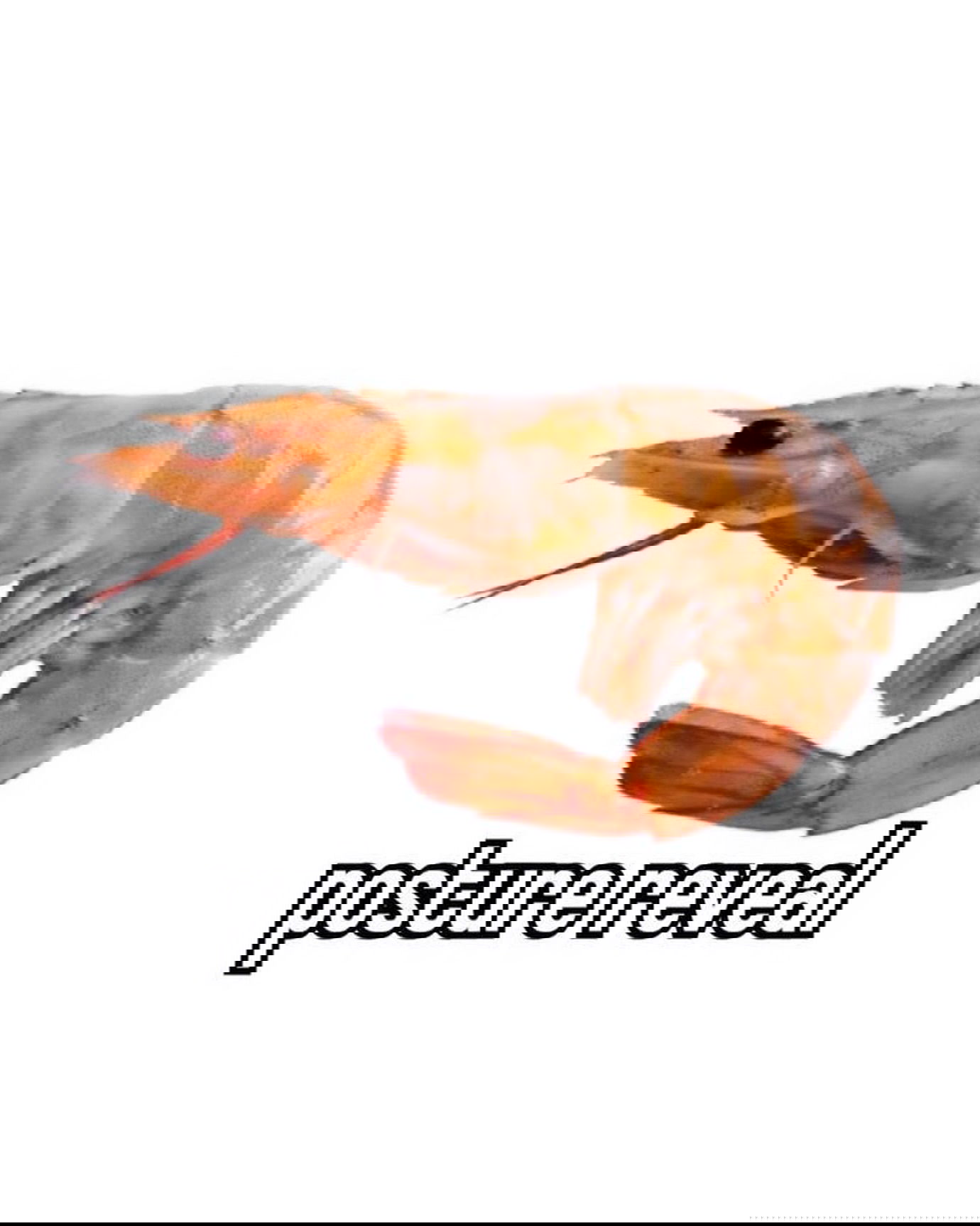 iamm3dusa instagram image archive image