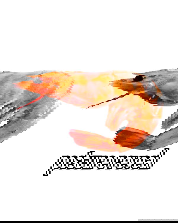 iamm3dusa image ~ Altpins