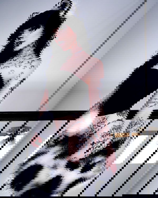 iamm3dusa image ~ Altpins