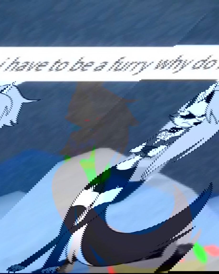 iamm3dusa instagram image archive image