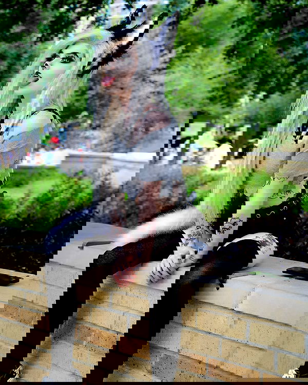 iamm3dusa image ~ Altpins