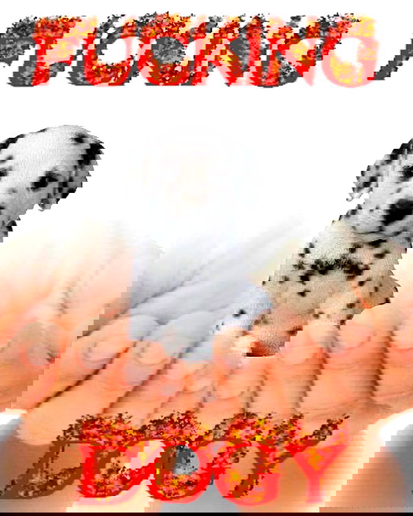 iamm3dusa image ~ Altpins