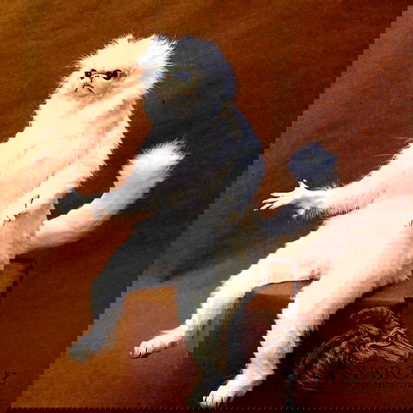 iamm3dusa image ~ Altpins