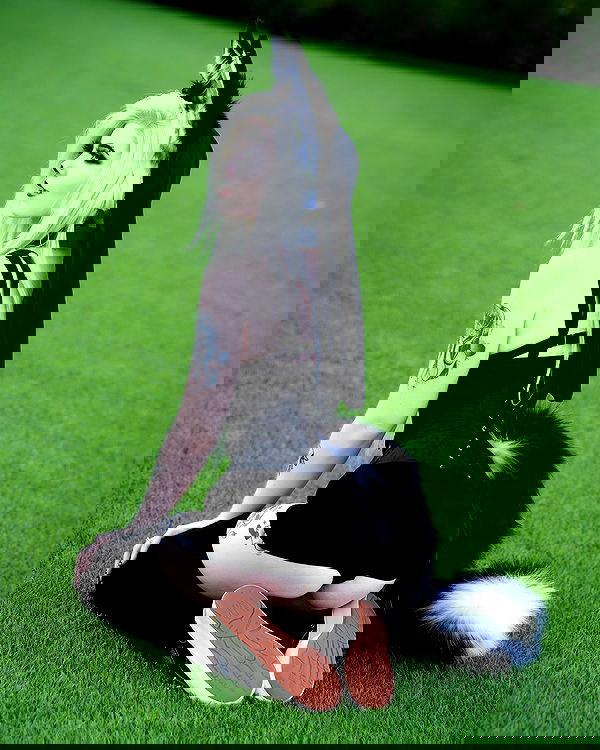 iamm3dusa image ~ Altpins