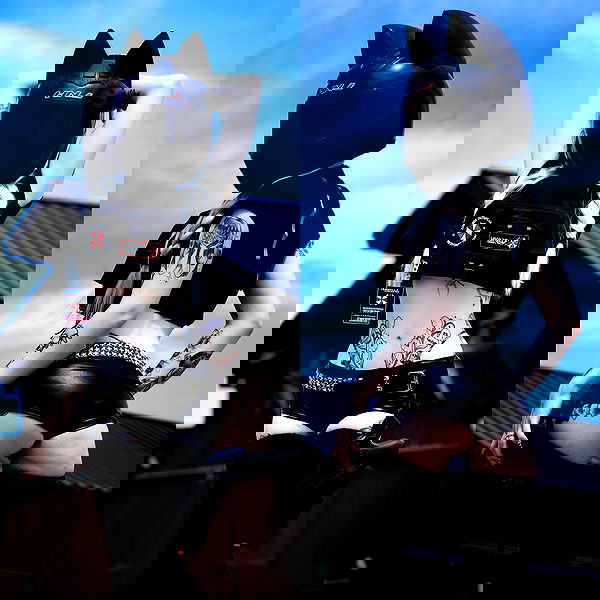 iamm3dusa image ~ Altpins