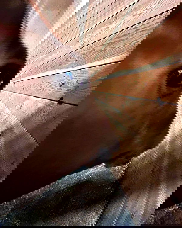 iamm3dusa image ~ Altpins