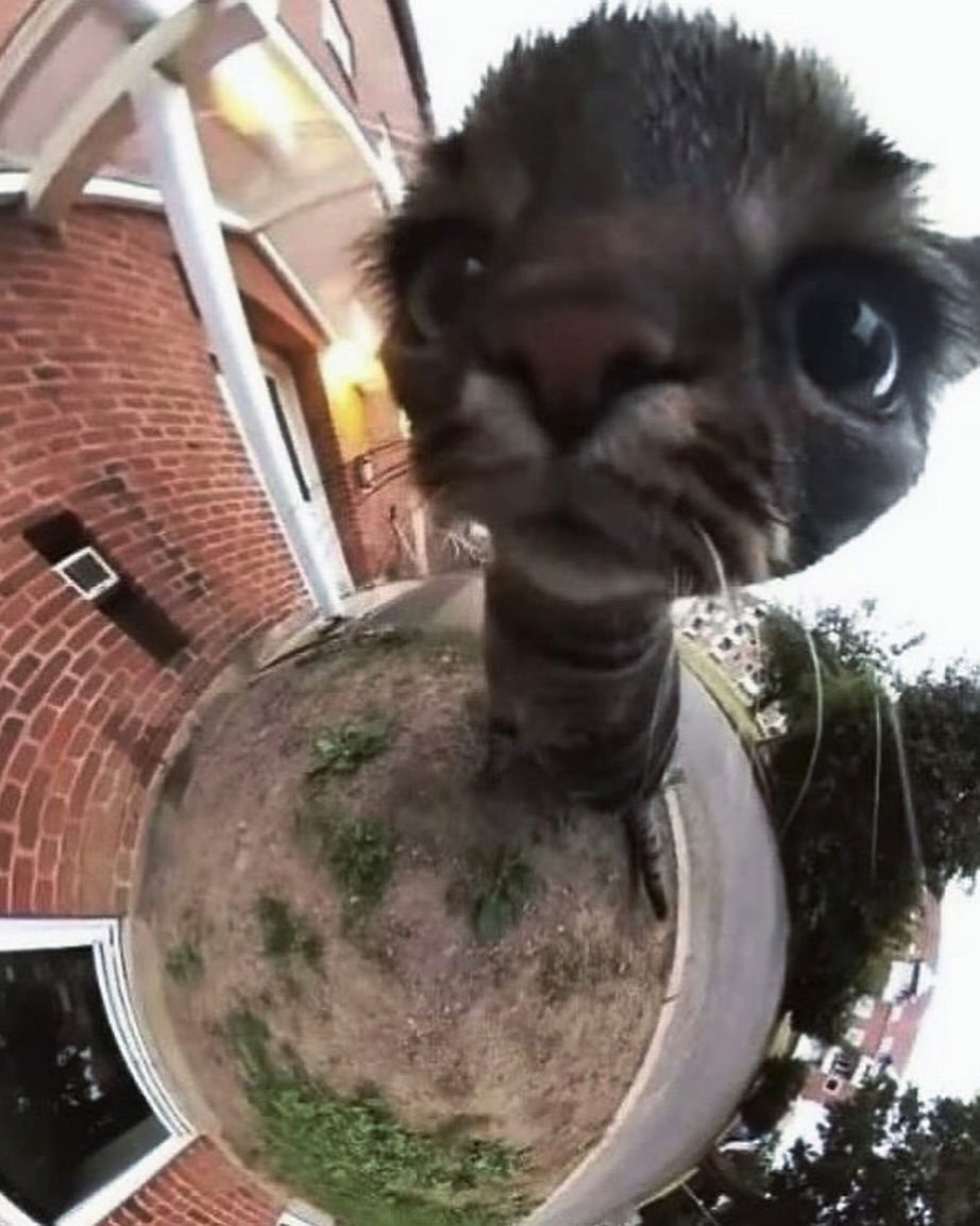 iamm3dusa instagram image archive image