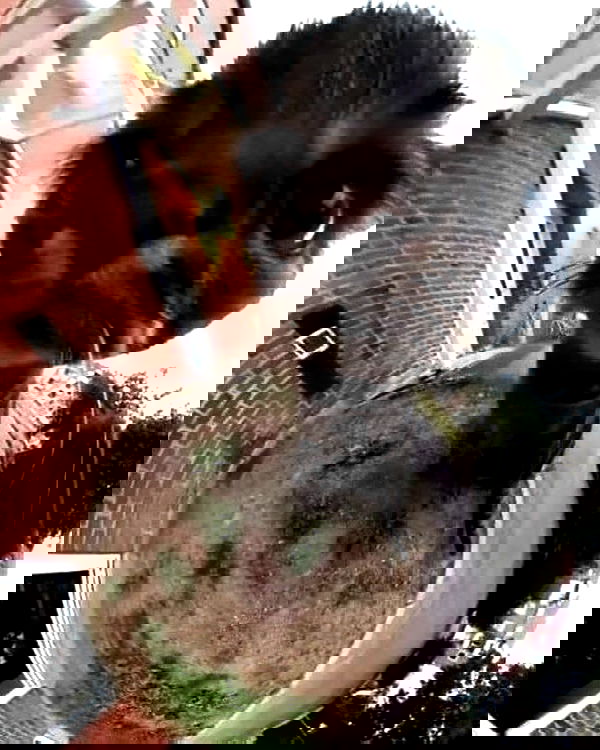 iamm3dusa image ~ Altpins