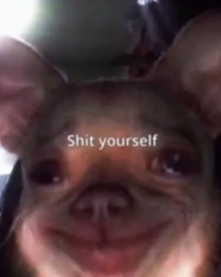 iamm3dusa instagram image archive image