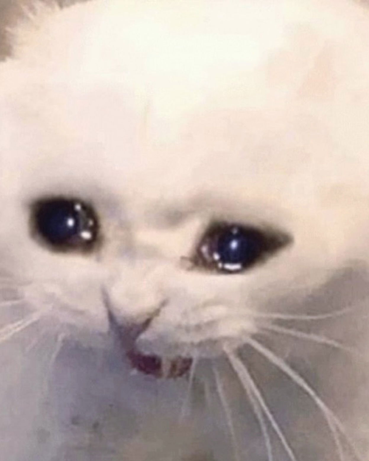 iamm3dusa instagram image archive image