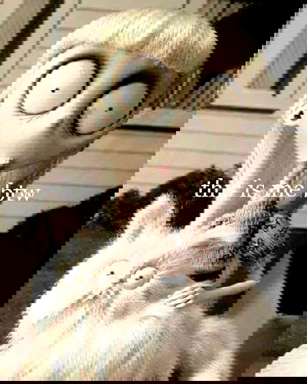 iamm3dusa image ~ Altpins