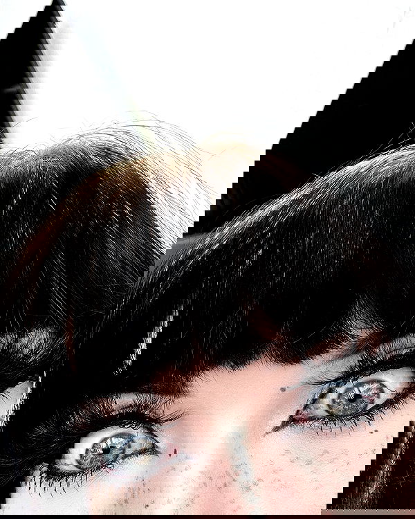 iamm3dusa image ~ Altpins