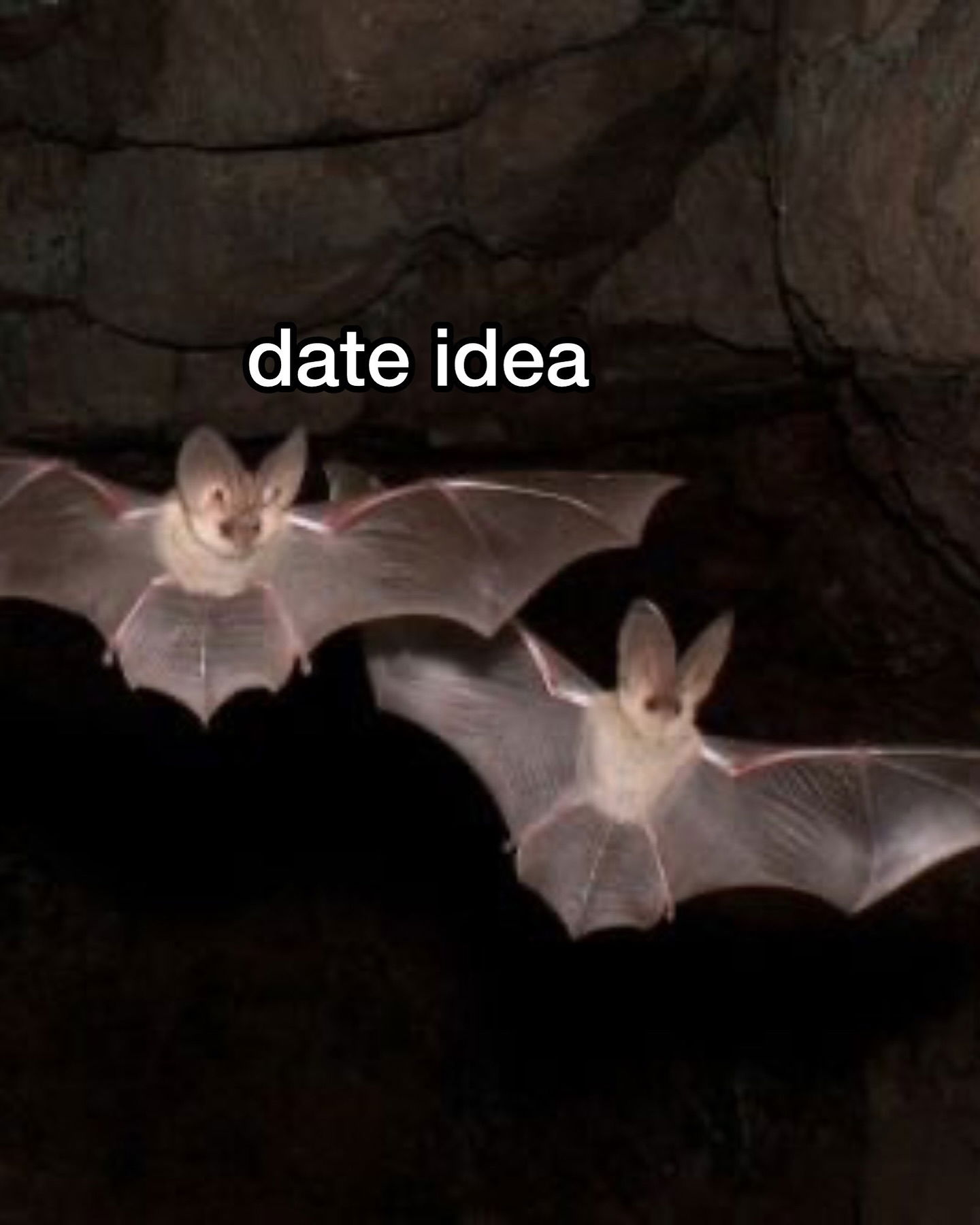 iamm3dusa instagram image archive image