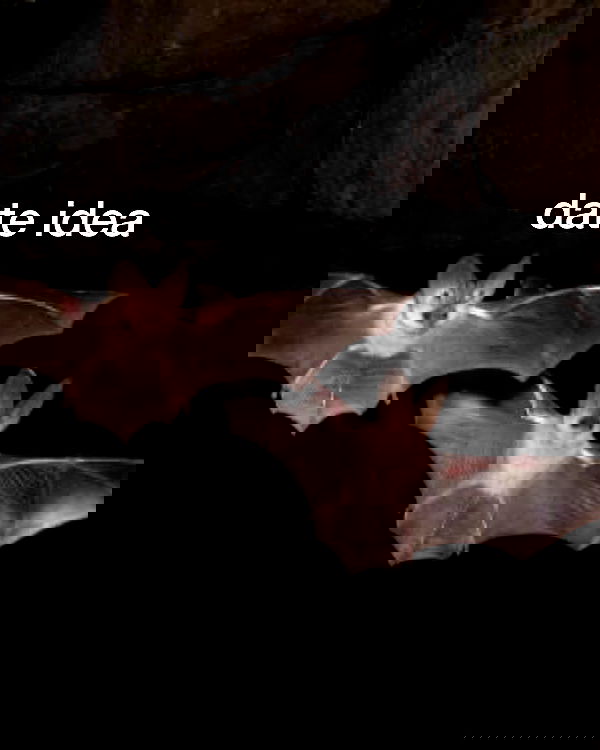 iamm3dusa image ~ Altpins